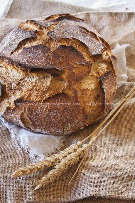 Pane senza impasto con farina tipo2, farina integrale e semi di